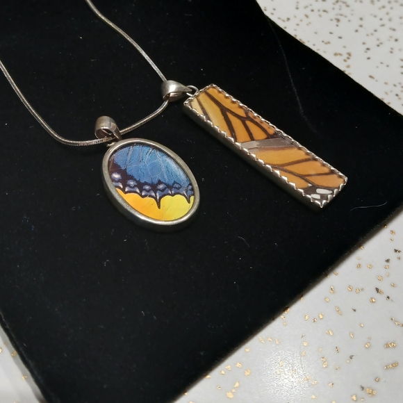 Real Butterfly wings in Sterling Silver Necklace- Nature's Jewels - Picture 2 of 9